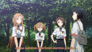 Sword Art Online: Extra Edition